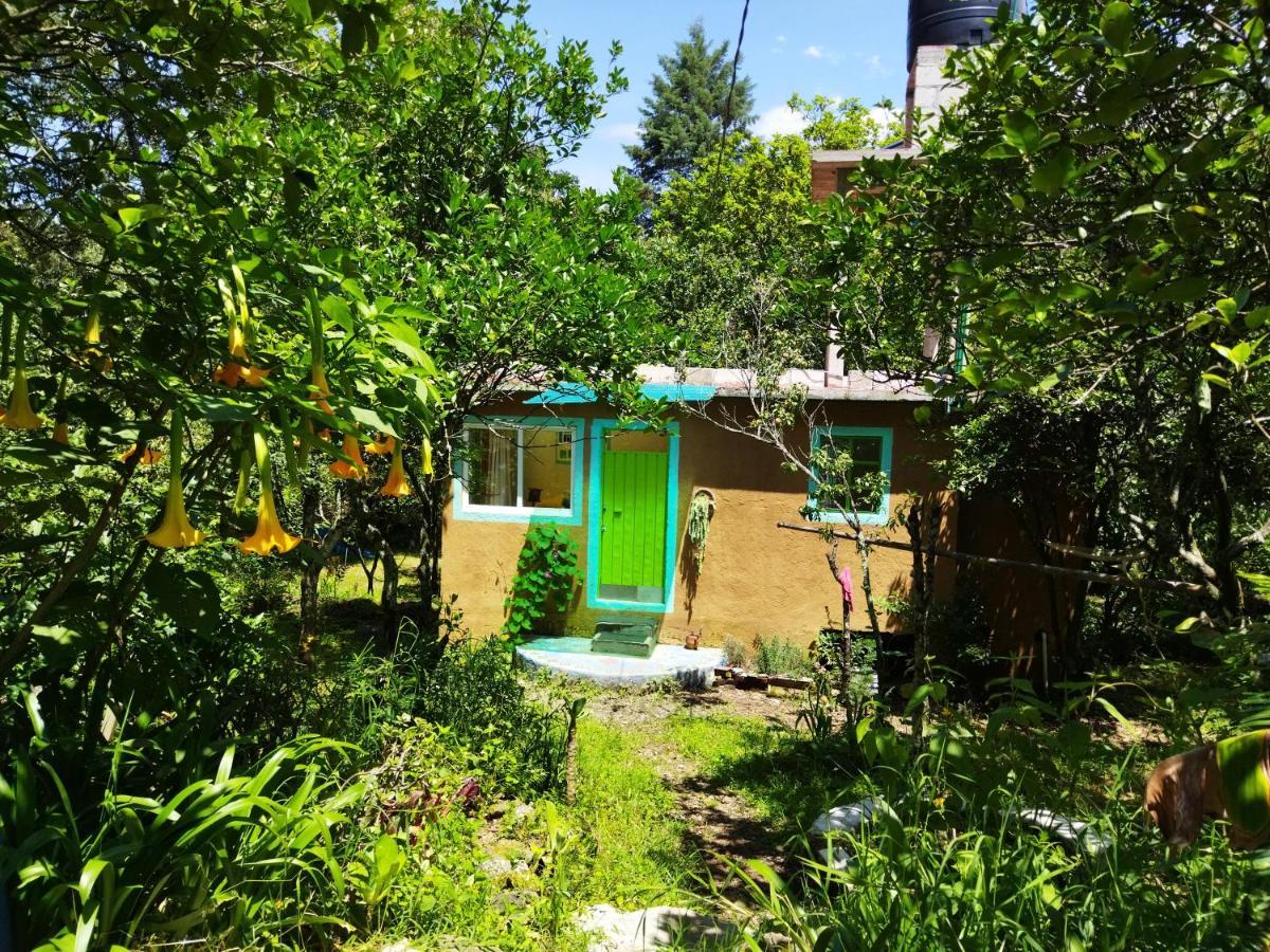 Casa Ecologica Daire Tepoztlán Dış mekan fotoğraf