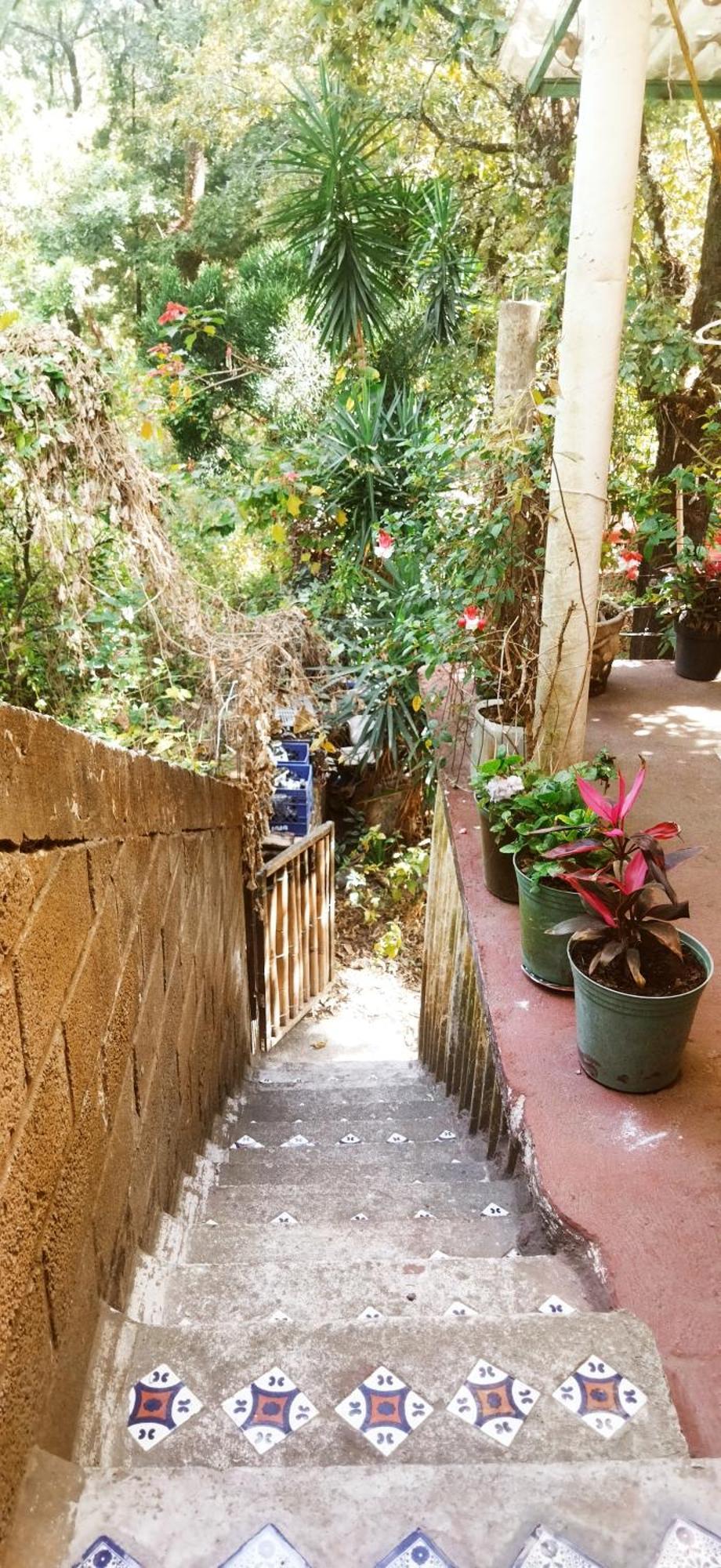 Casa Ecologica Daire Tepoztlán Dış mekan fotoğraf