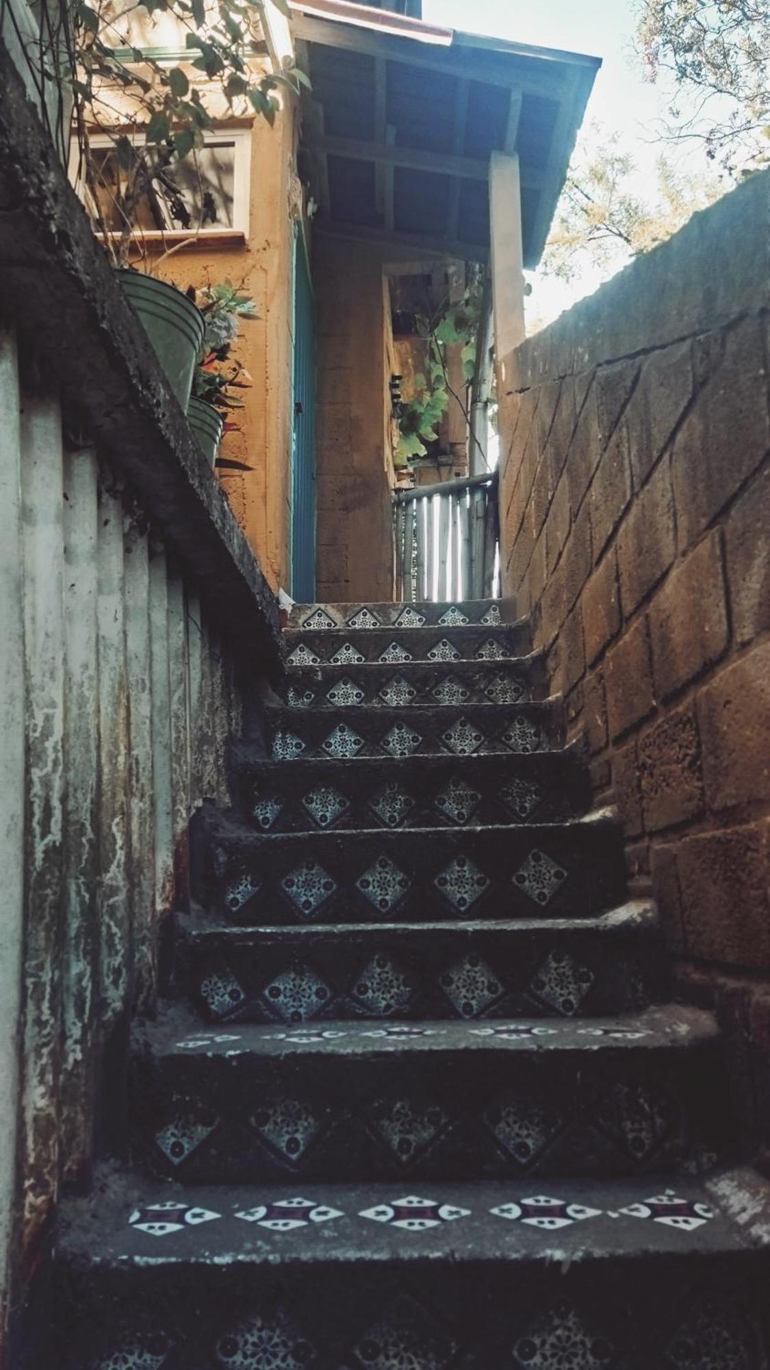 Casa Ecologica Daire Tepoztlán Dış mekan fotoğraf