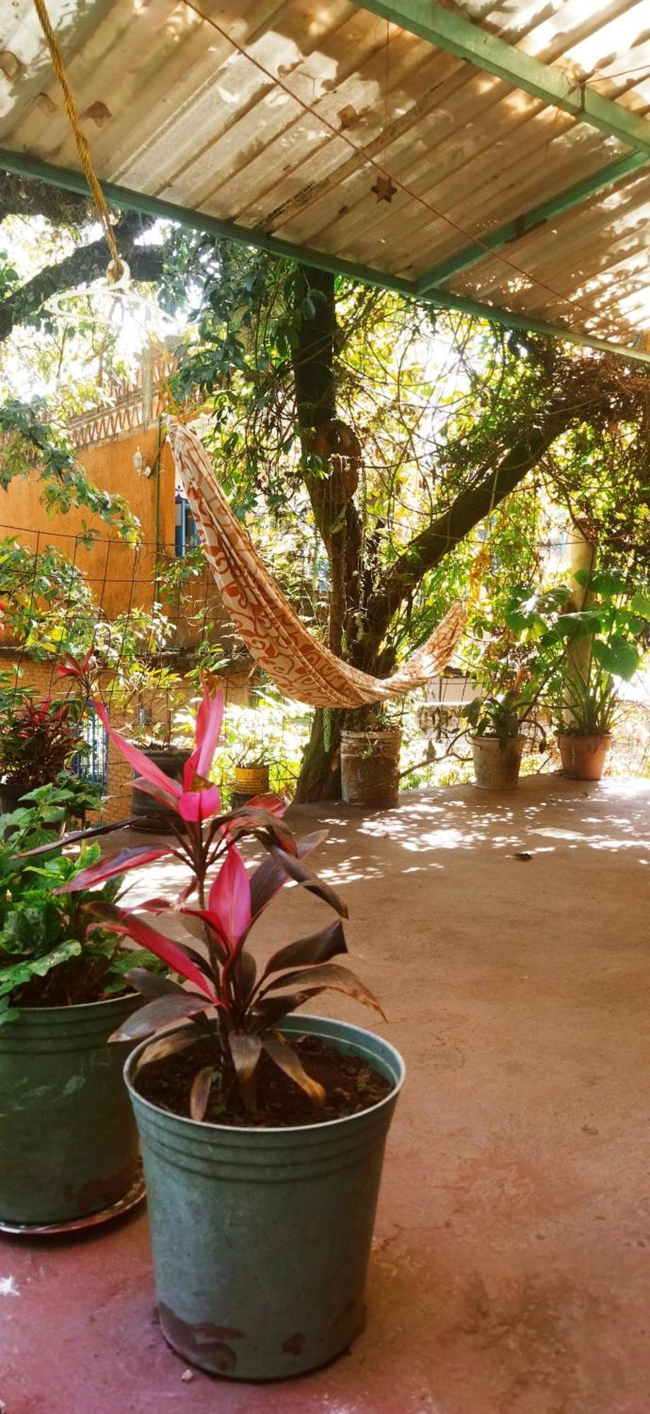 Casa Ecologica Daire Tepoztlán Dış mekan fotoğraf