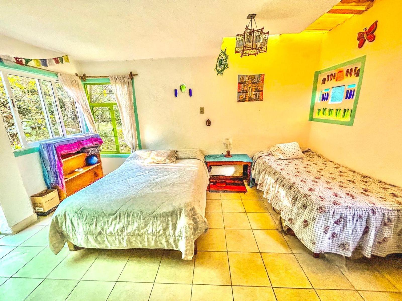Casa Ecologica Daire Tepoztlán Dış mekan fotoğraf