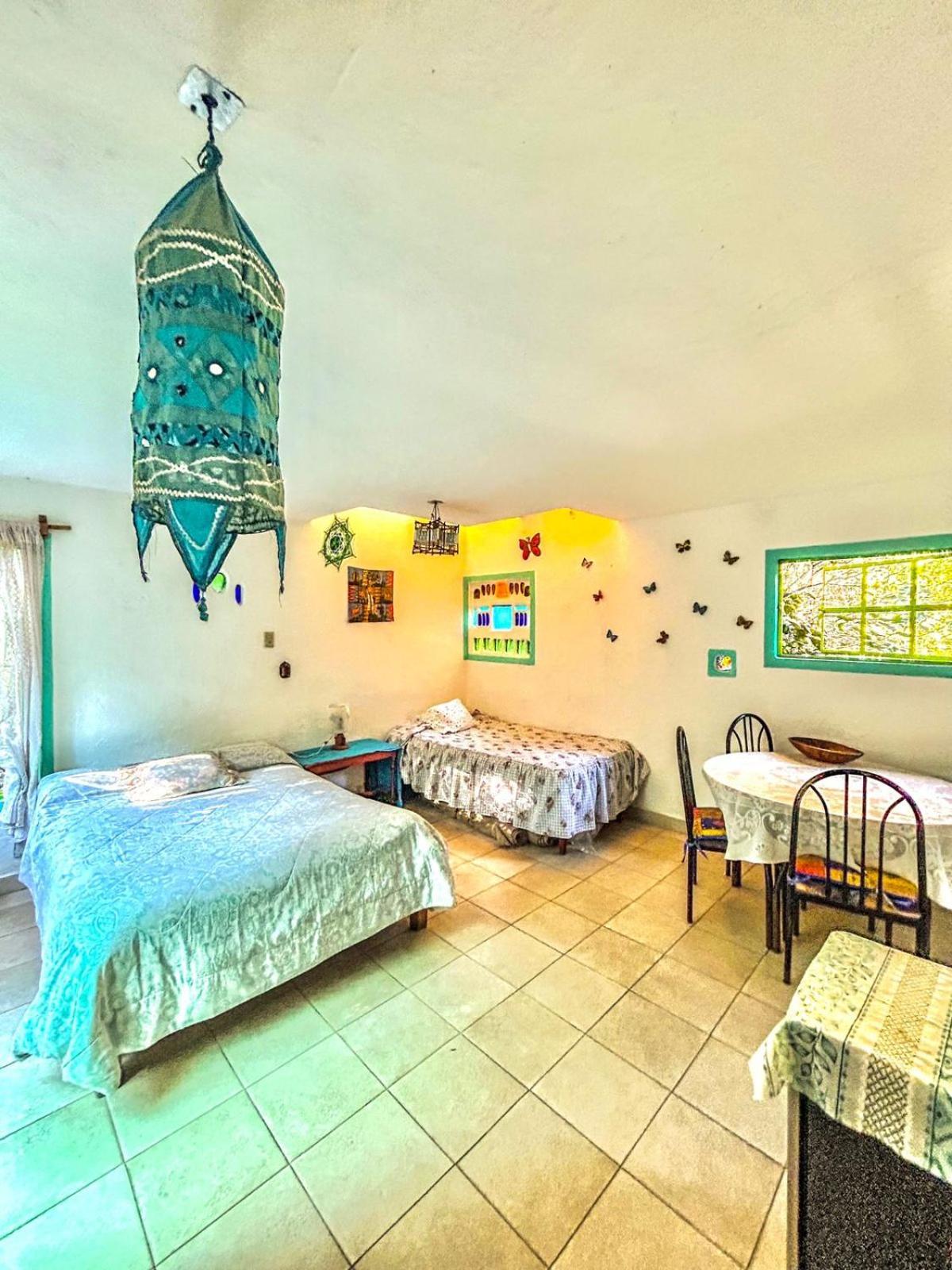 Casa Ecologica Daire Tepoztlán Dış mekan fotoğraf