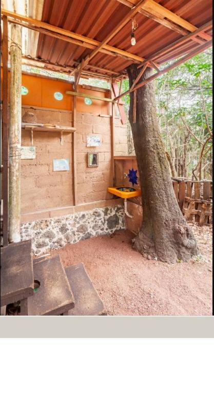 Casa Ecologica Daire Tepoztlán Dış mekan fotoğraf